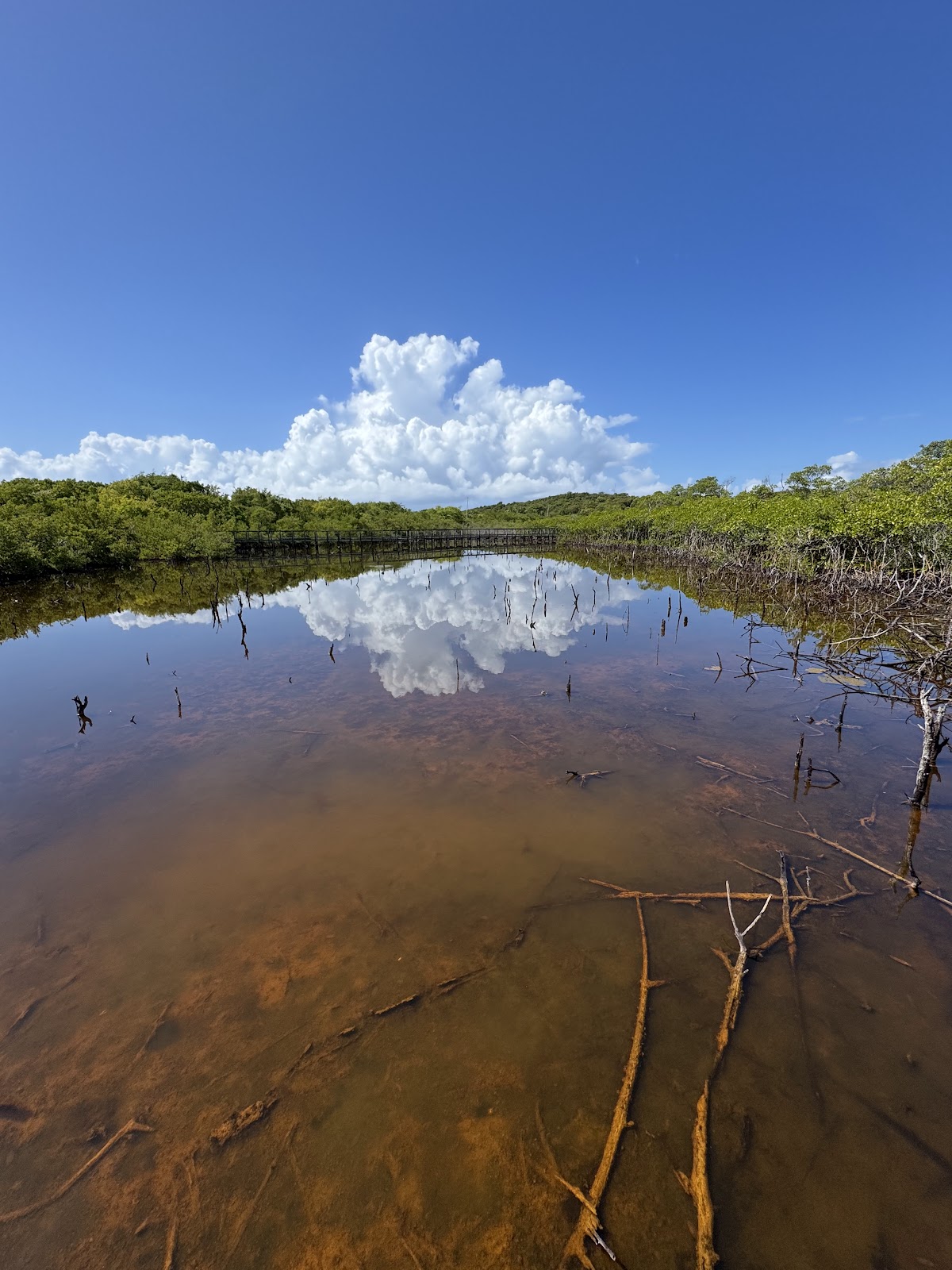 Cabezas de San Juan Reserve Shore in Fajardo, Puerto Rico - scenic beach view