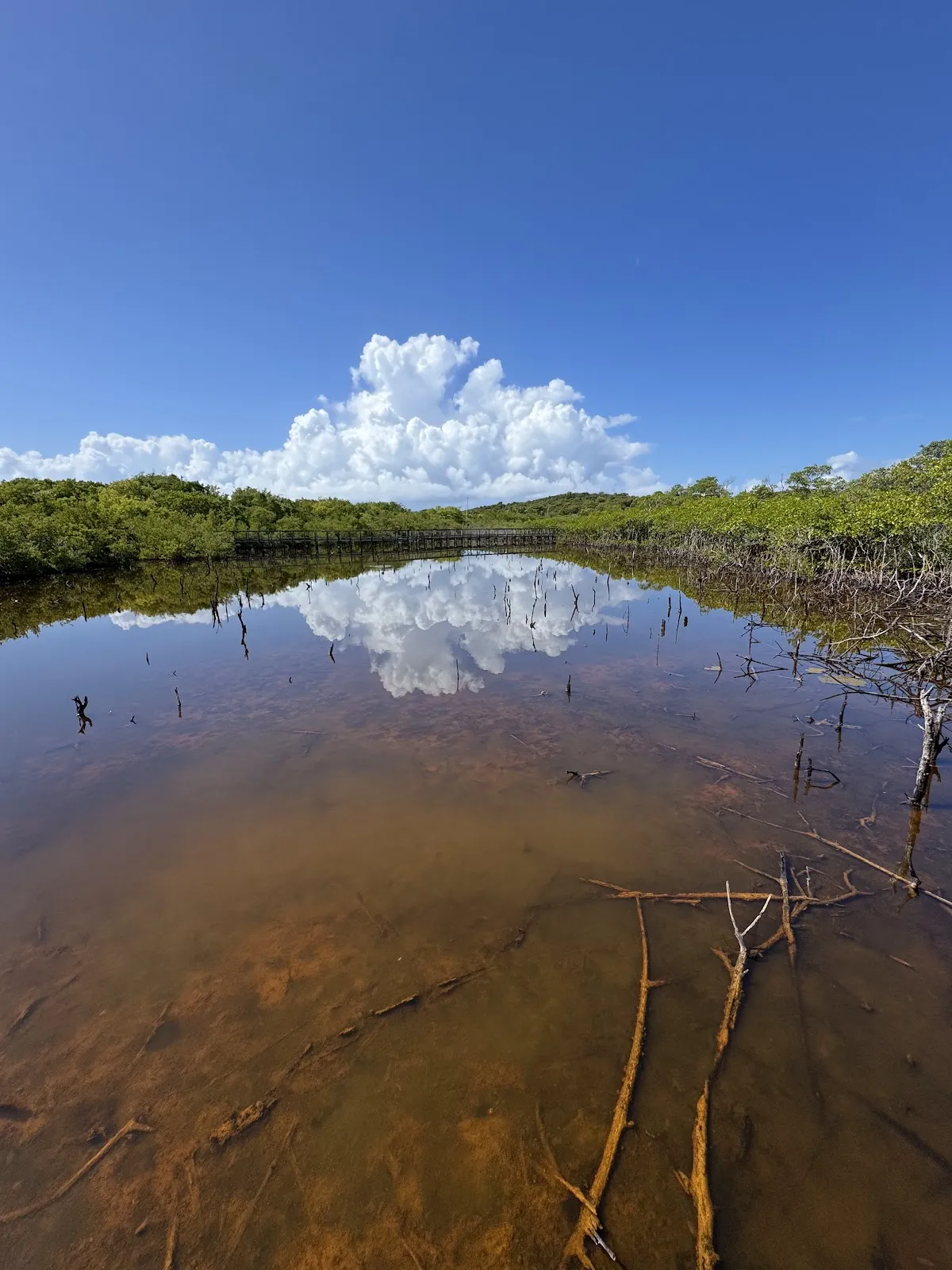 Cabezas de San Juan Reserve Shore