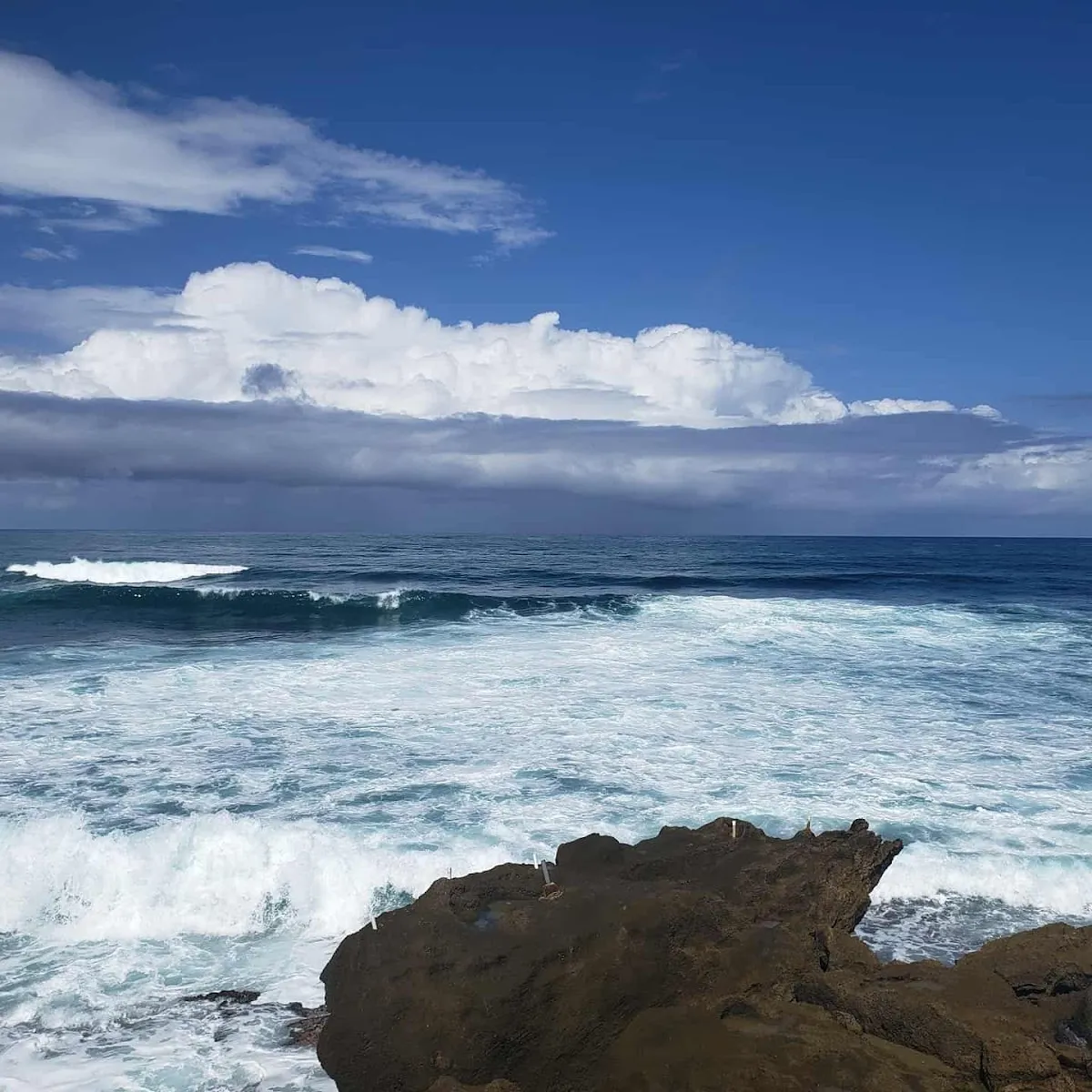 Dorado East Reef Shore in Dorado, Puerto Rico - scenic beach view