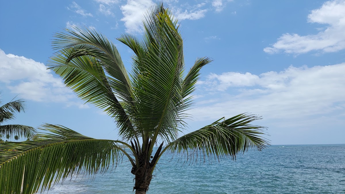 Espinar Beach in Aguada, Puerto Rico - scenic beach view