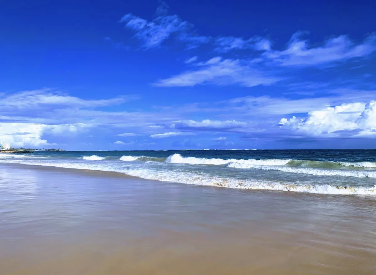 Isla Verde – Pine Grove