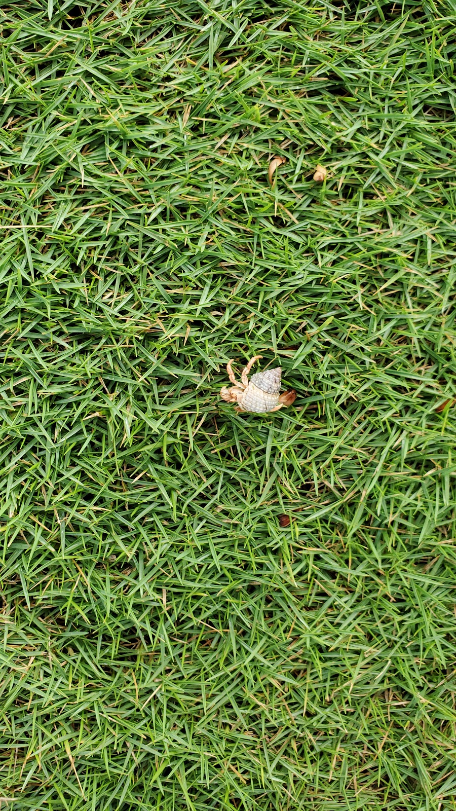 Kikita Beach in Dorado, Puerto Rico - scenic beach view