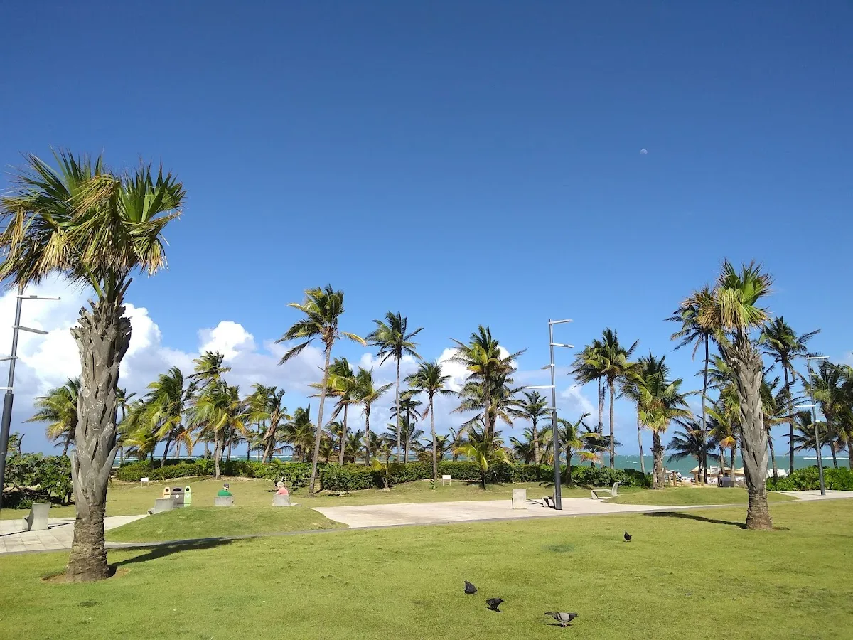 La Ocho (Escambrón east reef)