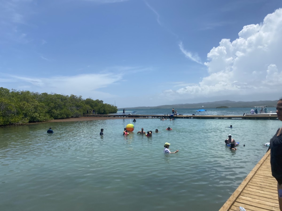 La Parguera Bioluminescent Bay Entry in Lajas, Puerto Rico - scenic beach view