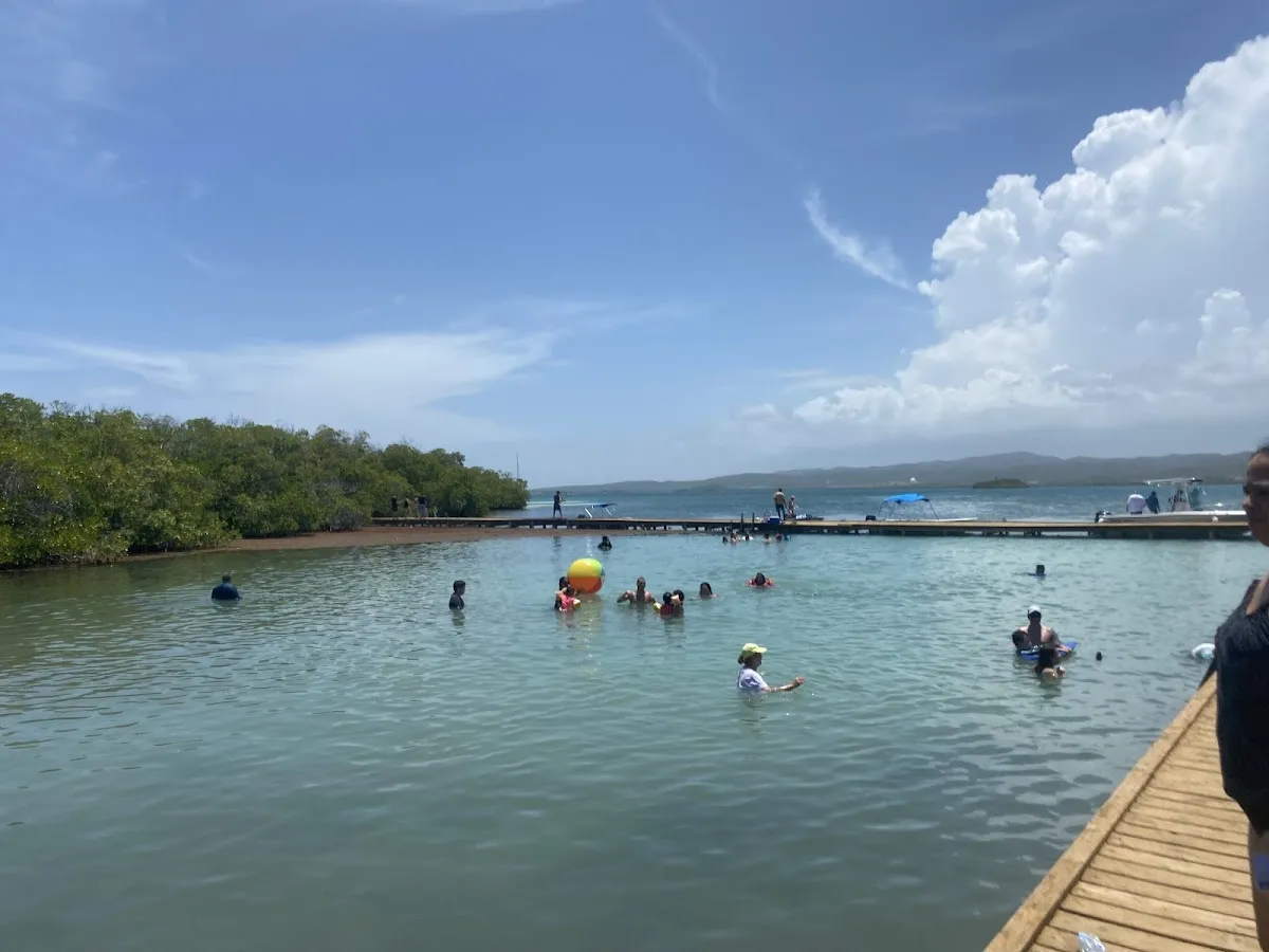 La Parguera Bioluminescent Bay Entry