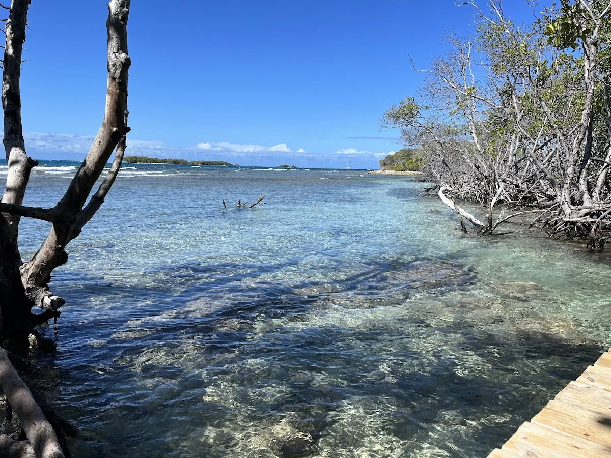 La Parguera Waterfront in Lajas, Puerto Rico - scenic beach view