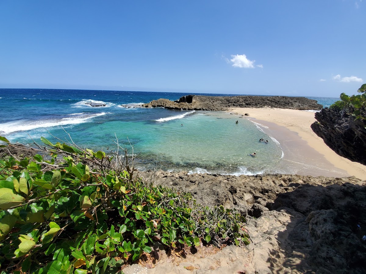 Las Palmitas (Barceloneta) in Barceloneta, Puerto Rico - scenic beach view