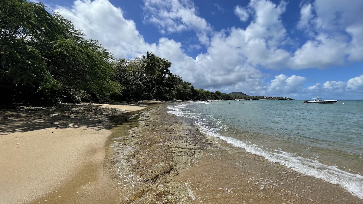 Mosquito Pier (Rompeolas) in Vieques, Puerto Rico - scenic beach view