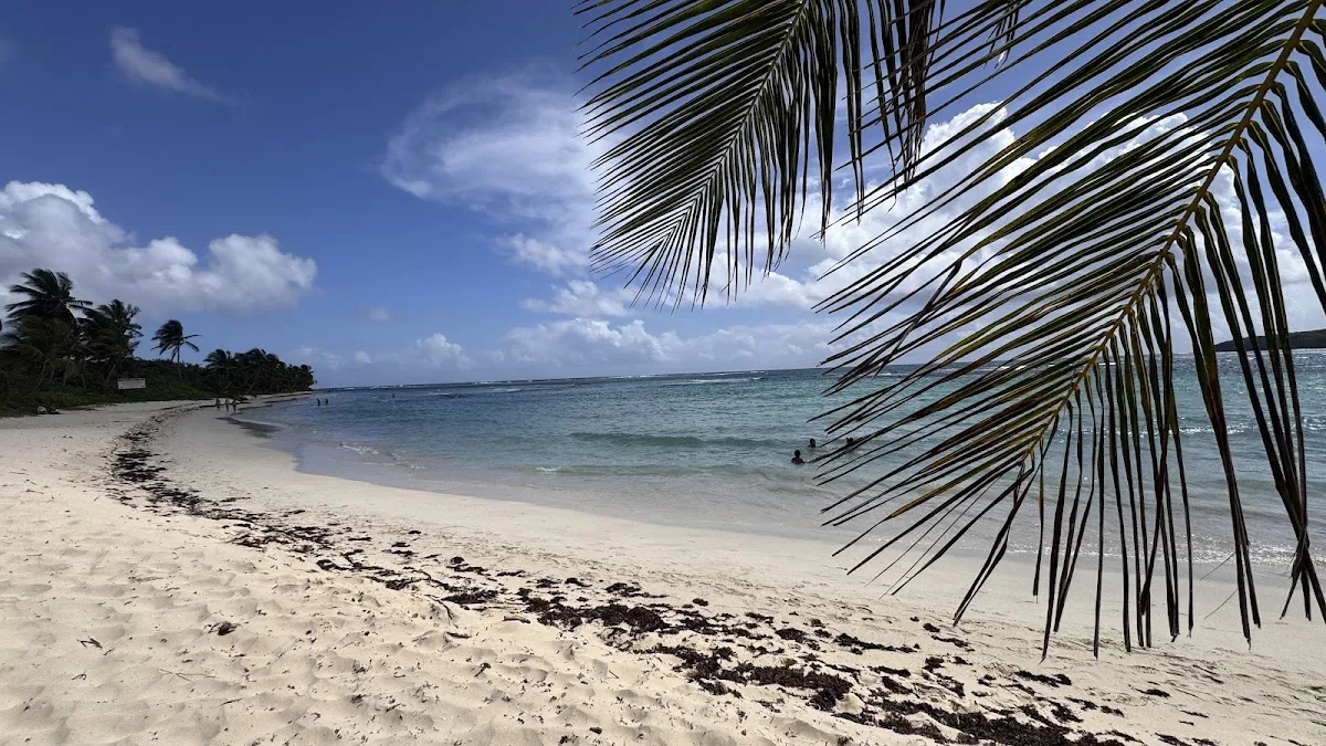 Playa Brava (Culebra)