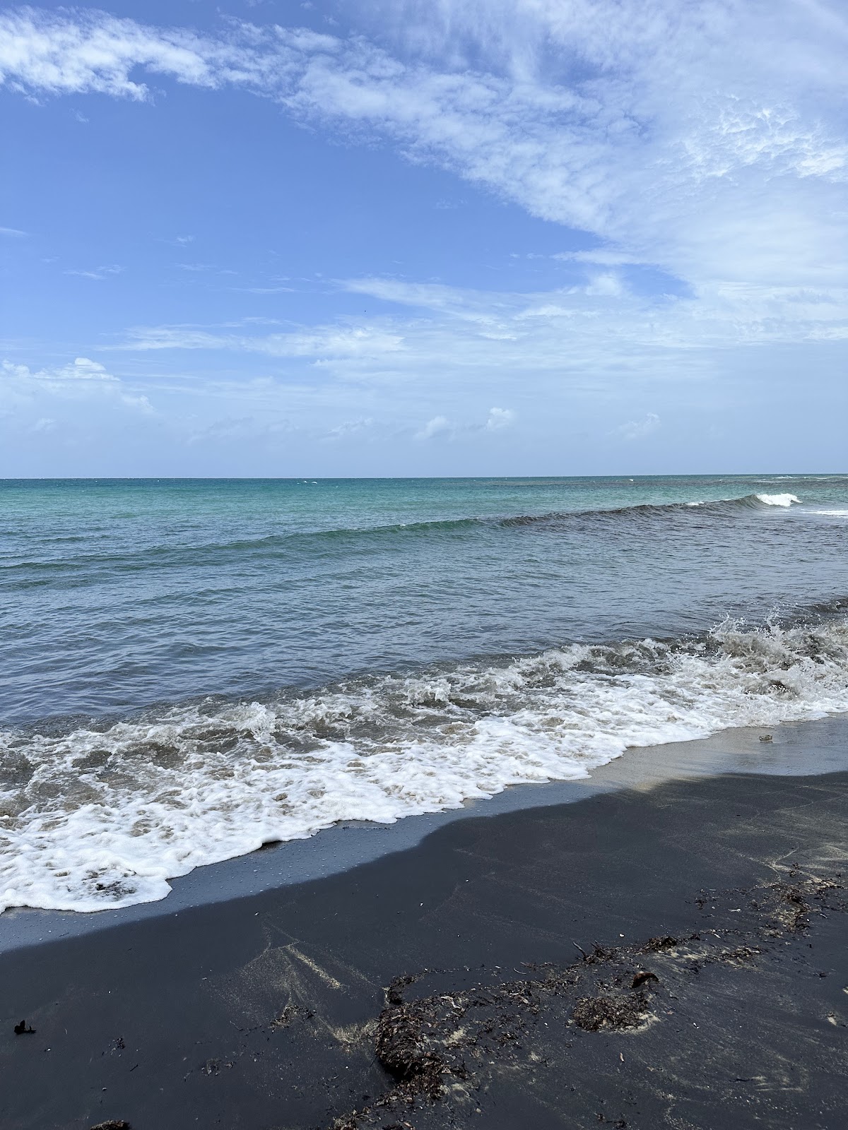 Playa Grande (Vieques) in Vieques, Puerto Rico - scenic beach view