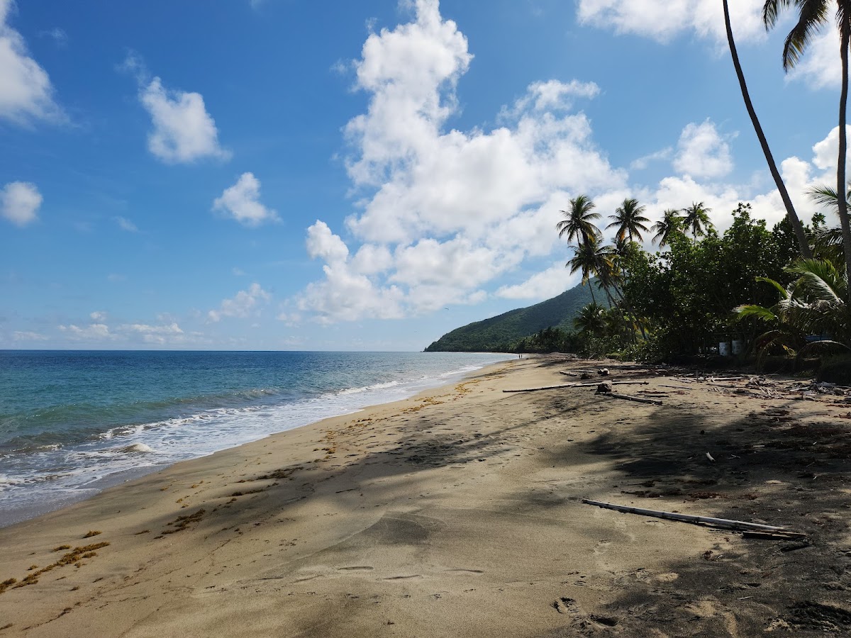 Playa Los Pinos (Maunabo) in Maunabo, Puerto Rico - scenic beach view