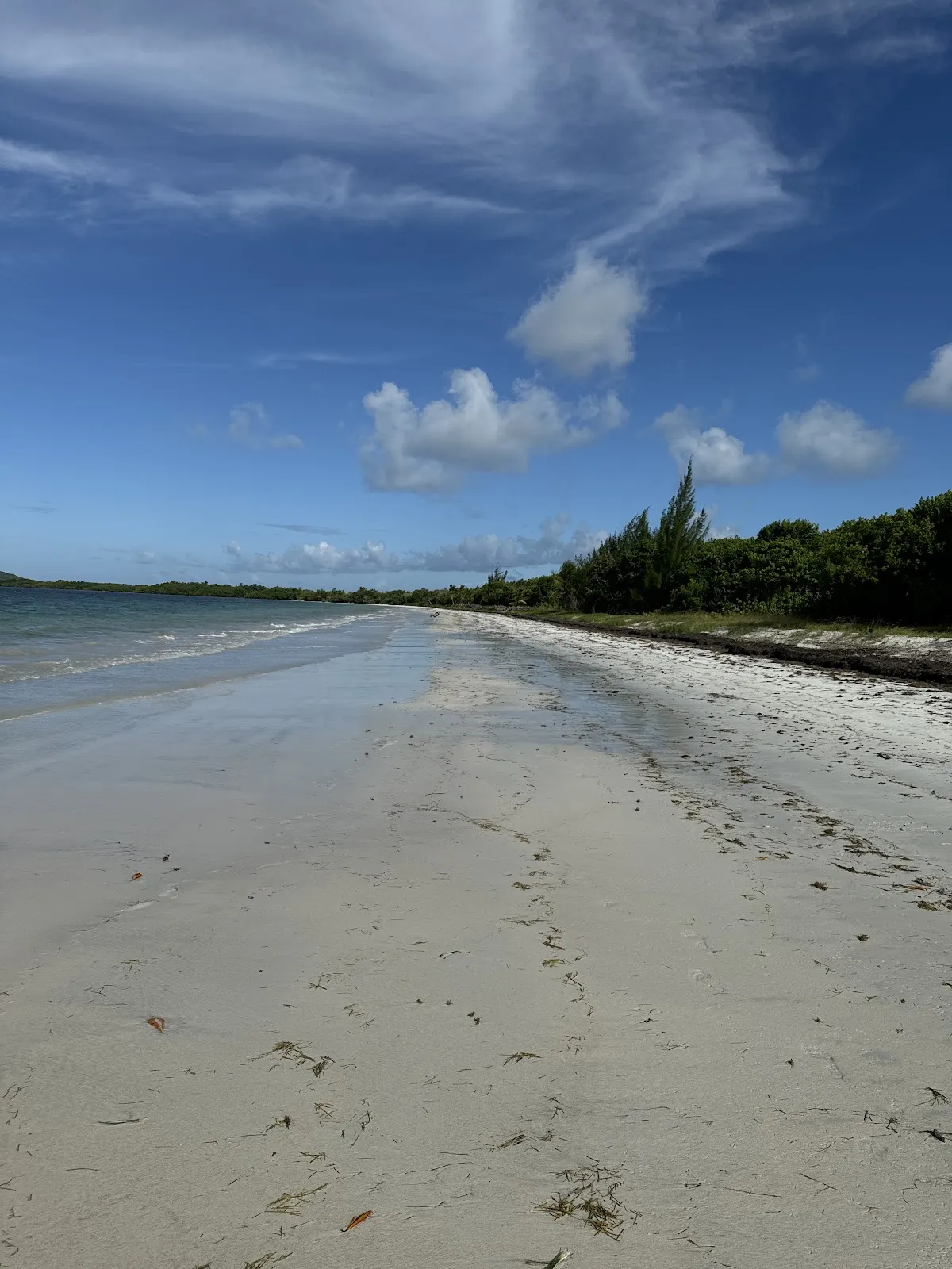 Playa Medio Mundo in Ceiba, Puerto Rico - scenic beach view