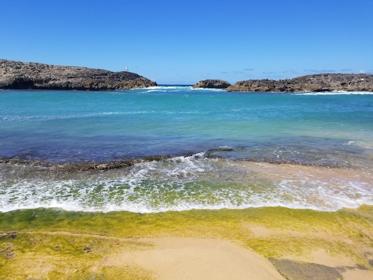 Pozita de los Tubos in Manati, Puerto Rico - scenic beach view