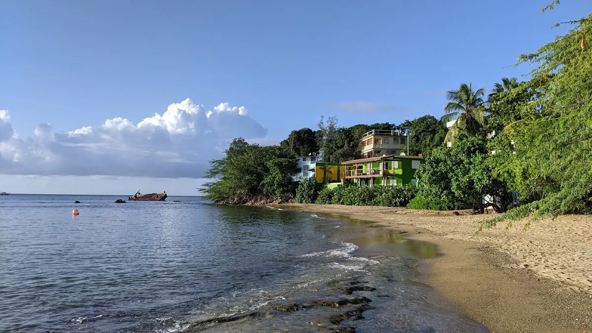 Punta Galíndez (townfront) in Vieques, Puerto Rico - scenic beach view