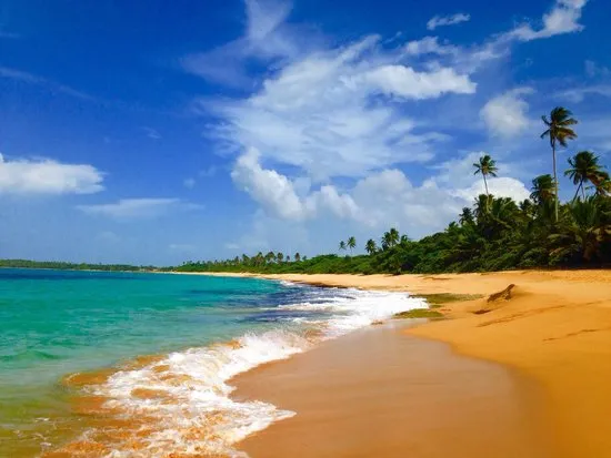 Tortuguero Oceanfront (north of lagoon) in Vega Baja, Puerto Rico - scenic beach view