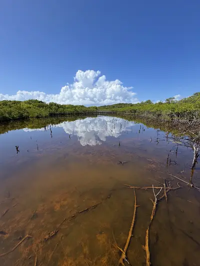 Cabezas de San Juan Reserve Shore beach in Fajardo
