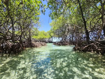 Cayo Enrique in Lajas, Puerto Rico - with clear waters for snorkeling