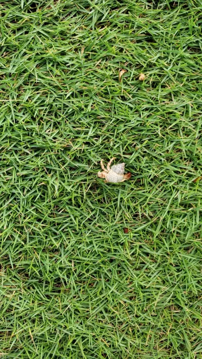 Kikita Beach in Dorado, Puerto Rico - with clear waters for snorkeling