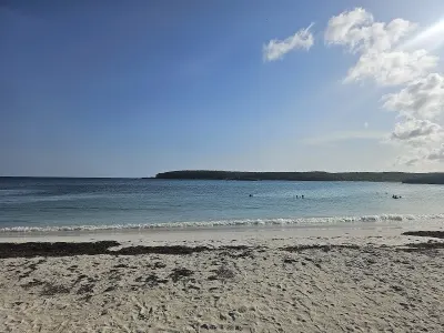 La Chiva (Blue Beach) in Vieques, Puerto Rico - with clear waters for snorkeling