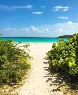 Navio Beach in Vieques, Puerto Rico - scenic coastal view