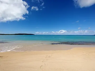 Playa Sardinera (Fajardo) beach in Fajardo