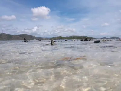 Playita Rosada in Lajas, Puerto Rico - family-friendly beach