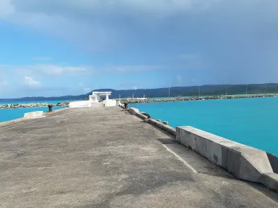 Starfish Beach (Vieques) in Vieques, Puerto Rico - with clear waters for snorkeling