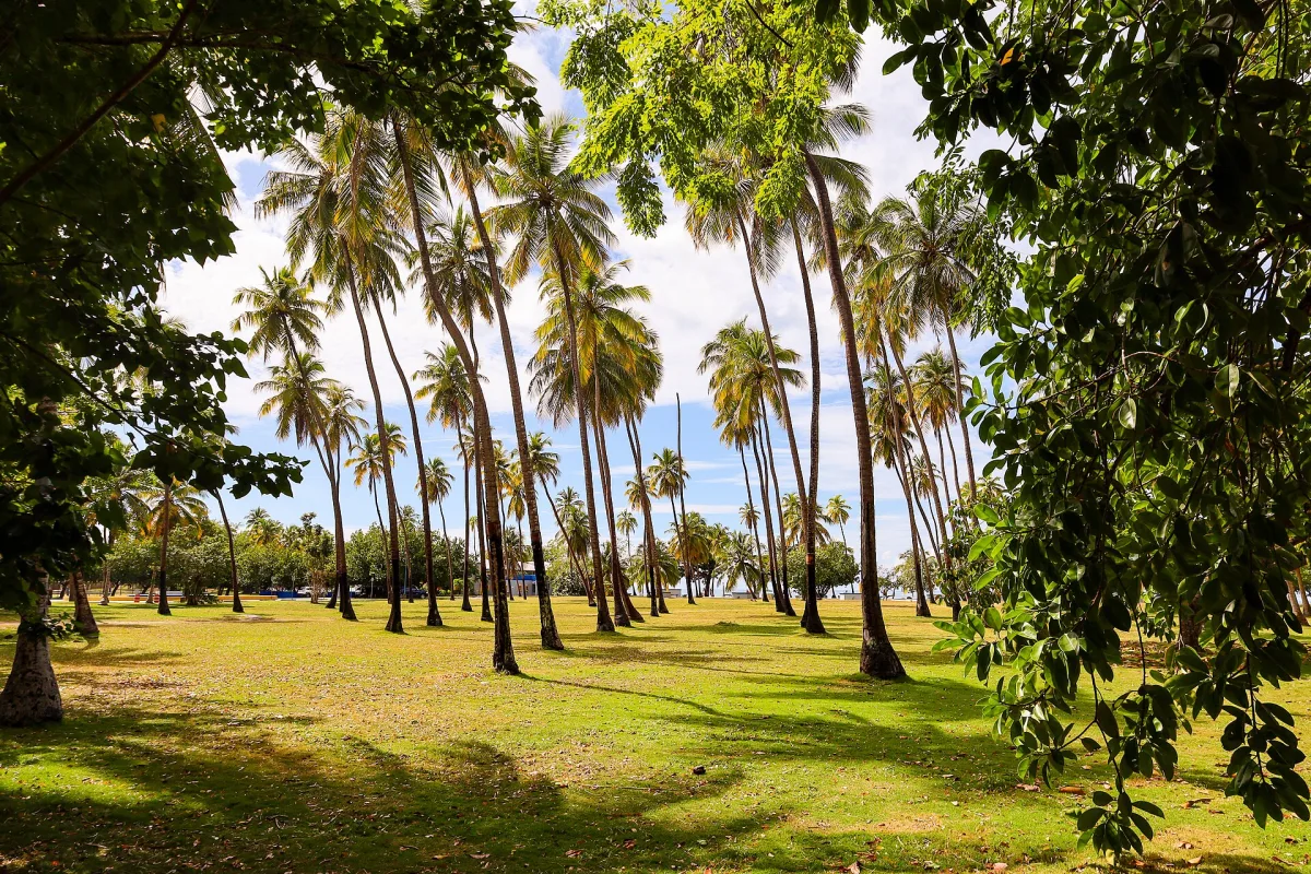 Boquerón Beach (2026)