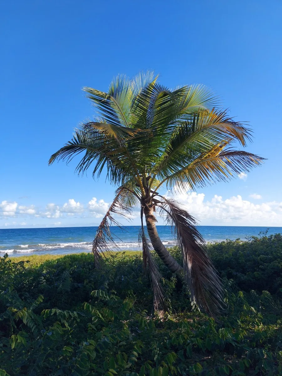 Balneario de Punta Santiago in Humacao, Puerto Rico - scenic beach view
