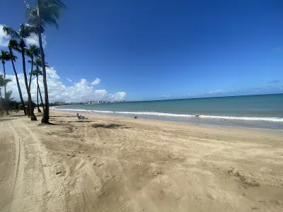 Balneario Isla Verde, Carolina