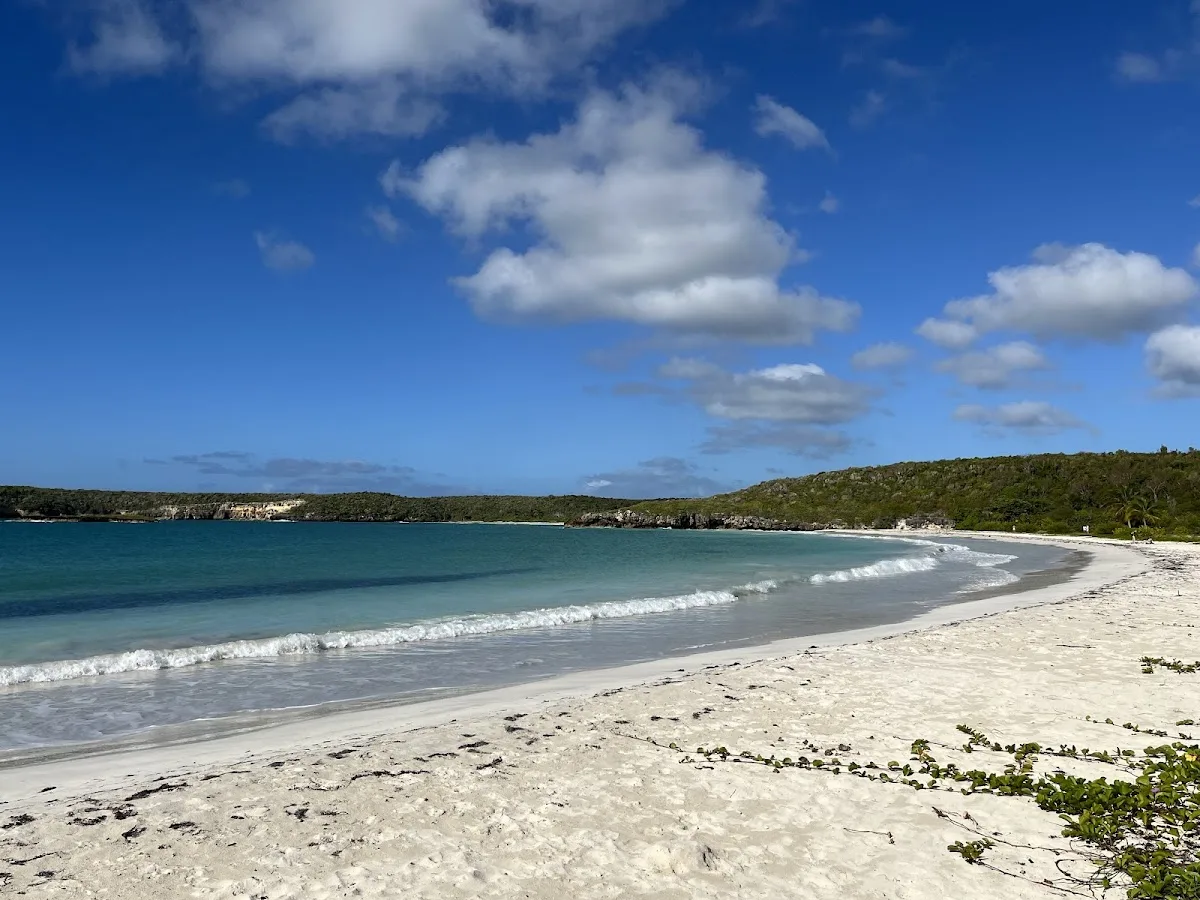 Caracas Beach in Vieques, Puerto Rico - scenic beach view