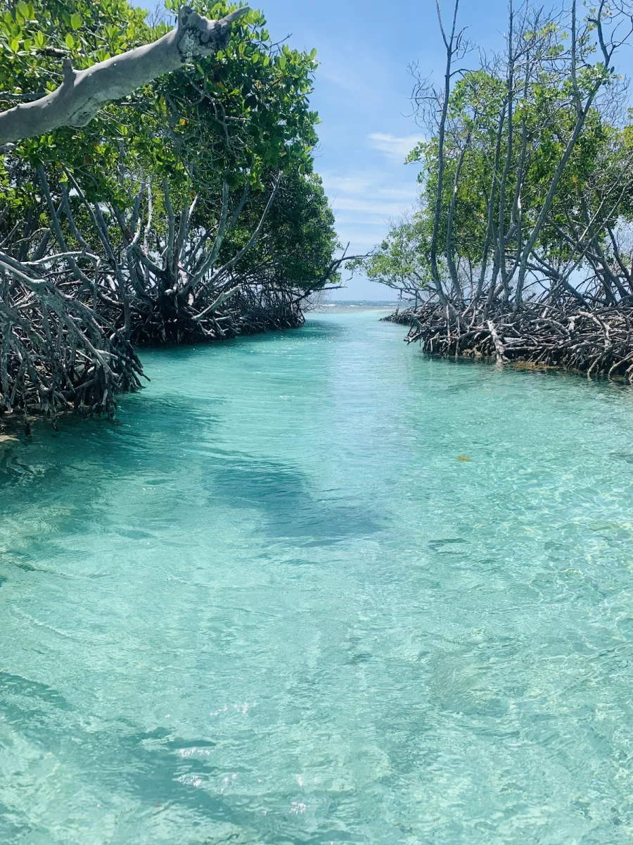 Cayo Caracoles Sandbar in Lajas, Puerto Rico - scenic beach view