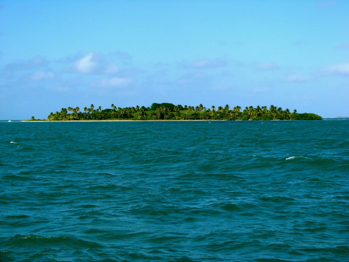 Isle of Icacos I
