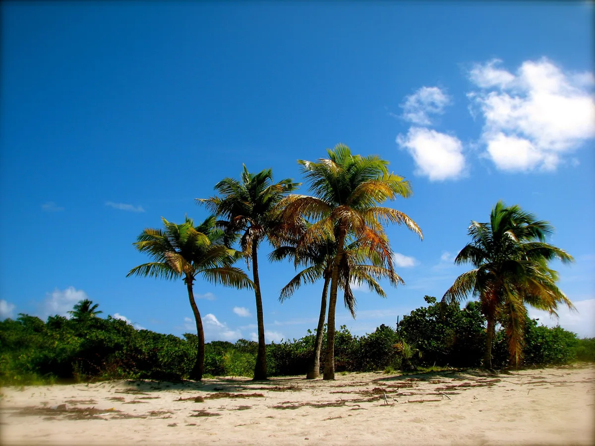 Isle of Icacos V