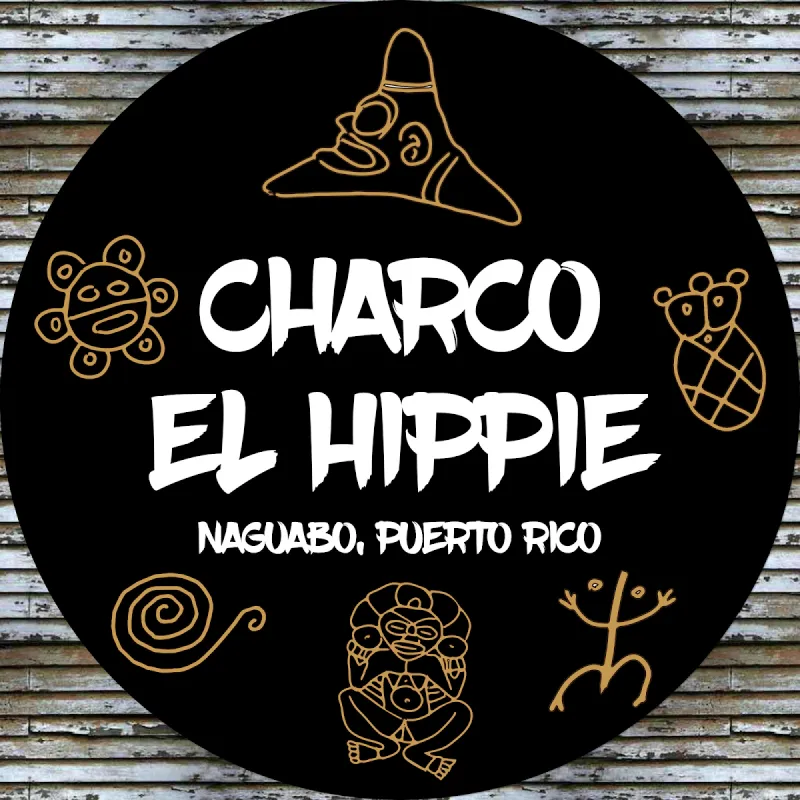 Charco El Hippie in Naguabo, Puerto Rico - secluded tropical beach
