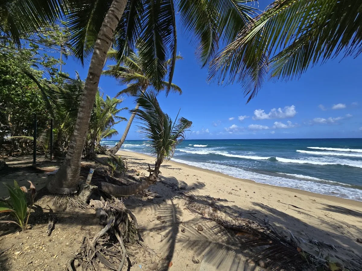 Don Antonio's Beach in Rincon, Puerto Rico - scenic beach view