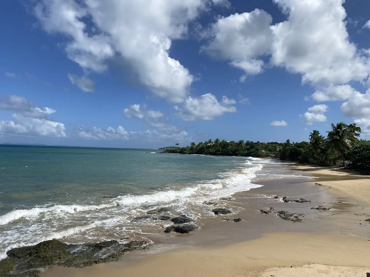 El Gallito ( Gringo Beach ) in Vieques, Puerto Rico - scenic beach view