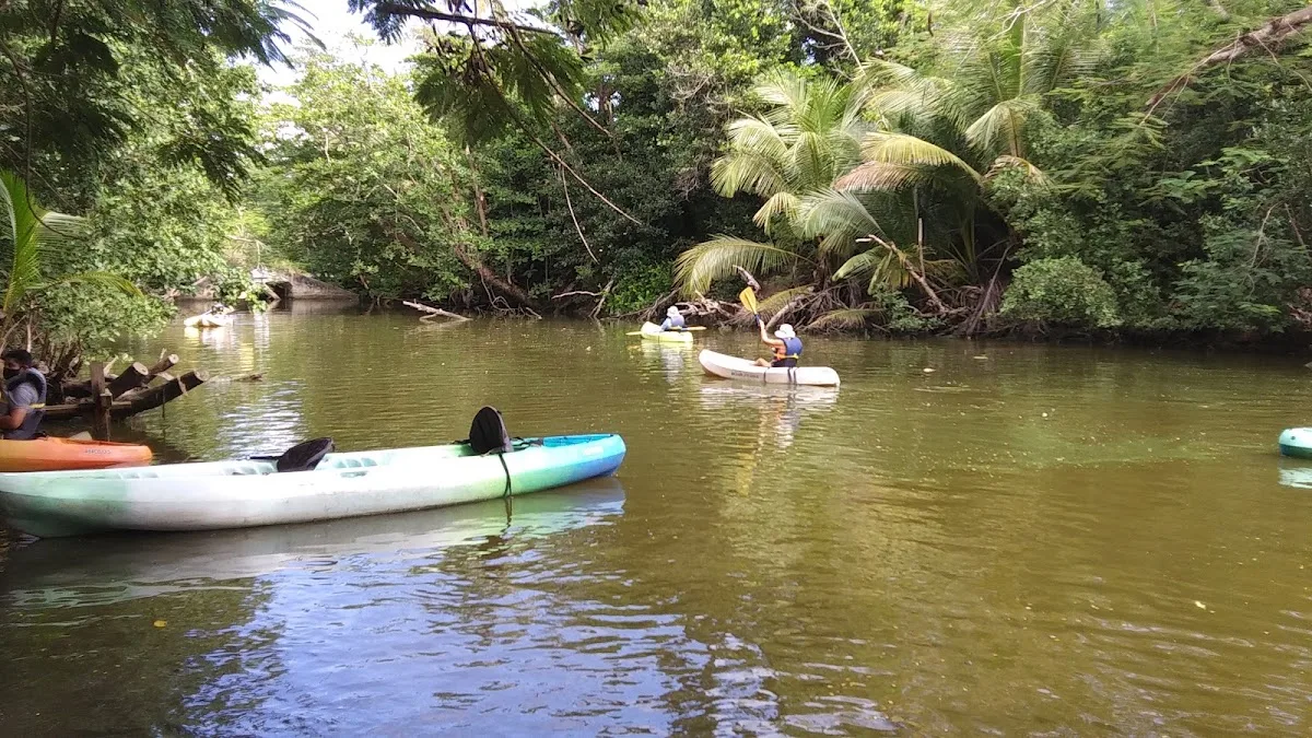 Humacao Nature Preserve in Humacao, Puerto Rico - scenic beach view