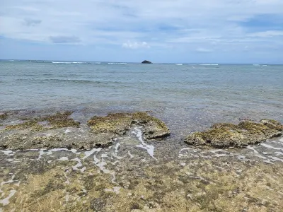 Las Positas Del Lido