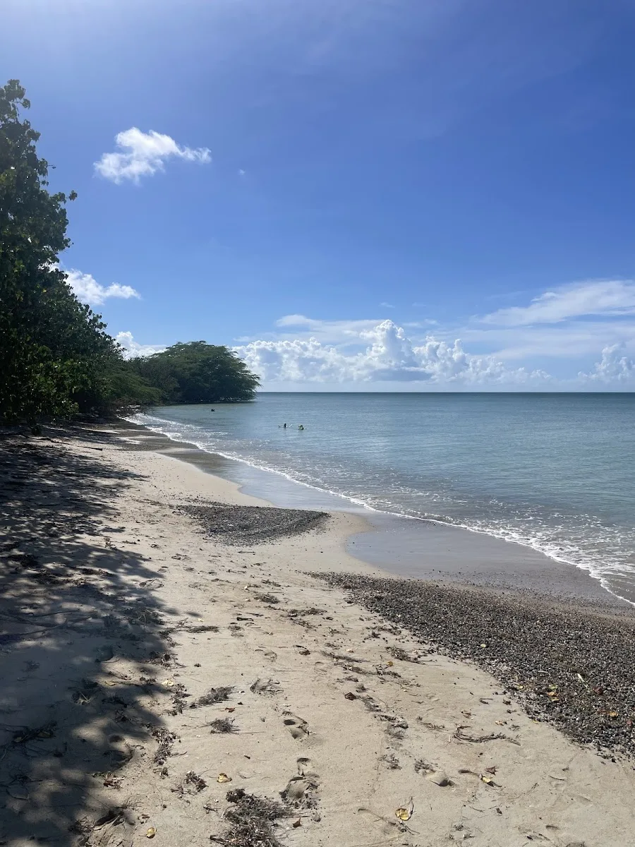 Los Pozos in Cabo Rojo, Puerto Rico - scenic beach view