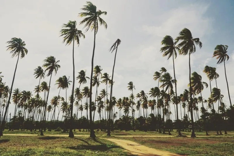 Lucia Beach Resort in Yabucoa, Puerto Rico - showing calm turquoise waters