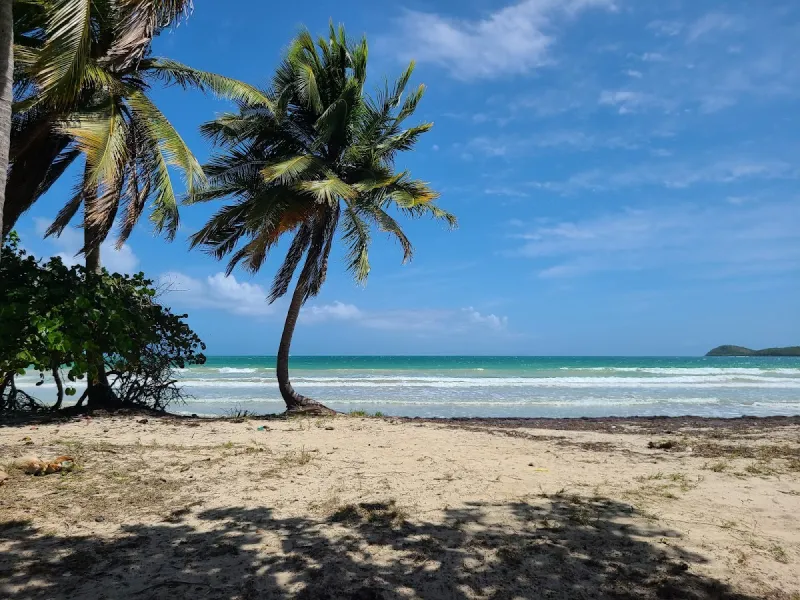 Macho Beach in Ceiba, Puerto Rico - showing calm turquoise waters