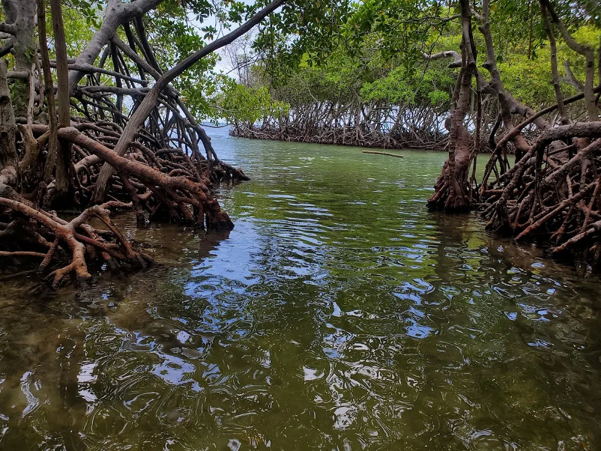 Manglillo Chiquito in Guanica, Puerto Rico - scenic beach view