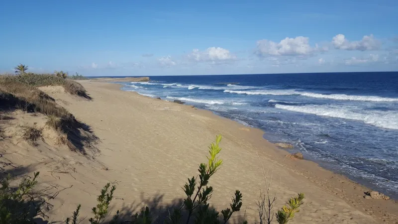Middles Beach in Isabela, Puerto Rico - with surfing waves