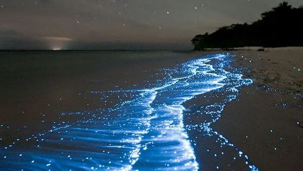 Mosquito Bay Beach