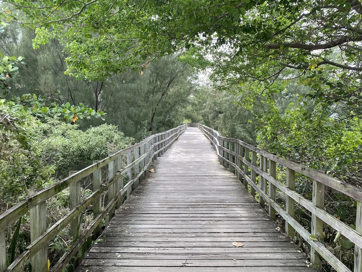 Paseo Lineal Isabela in Isabela, Puerto Rico - scenic beach view