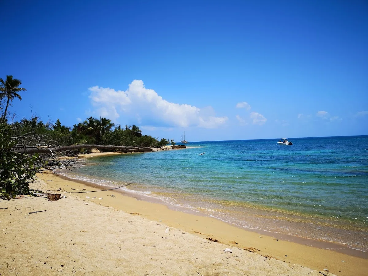 Playa Blaydin in Vieques, Puerto Rico - scenic beach view