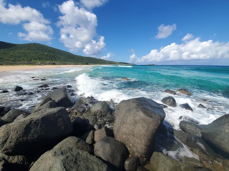Playa Brava in Culebra, Puerto Rico - with clear waters for snorkeling