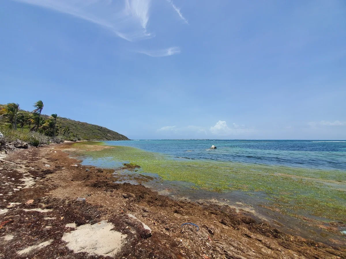 Playa Canalejo in Fajardo, Puerto Rico - scenic beach view