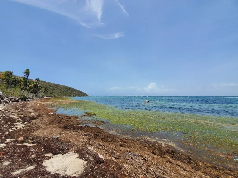 Playa Canalejo in Fajardo, Puerto Rico - showing calm turquoise waters